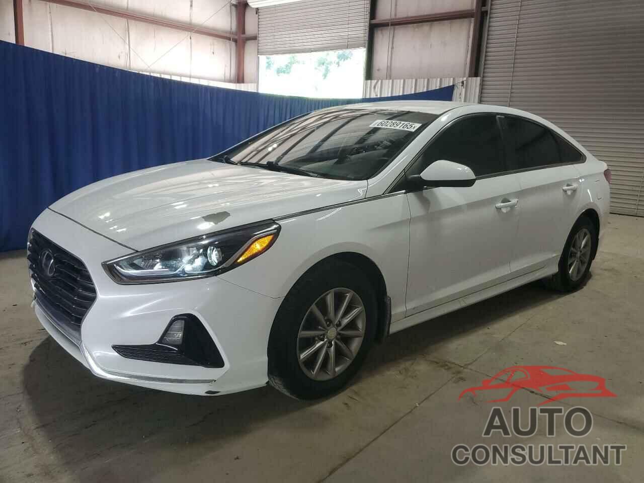 HYUNDAI SONATA 2018 - 5NPE24AF9JH720699