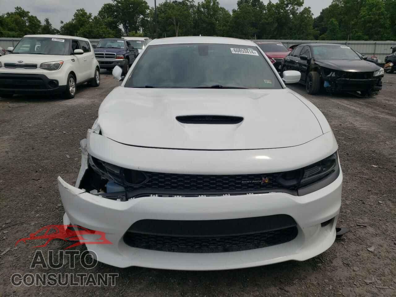 DODGE CHARGER 2019 - 2C3CDXGJ2KH706706