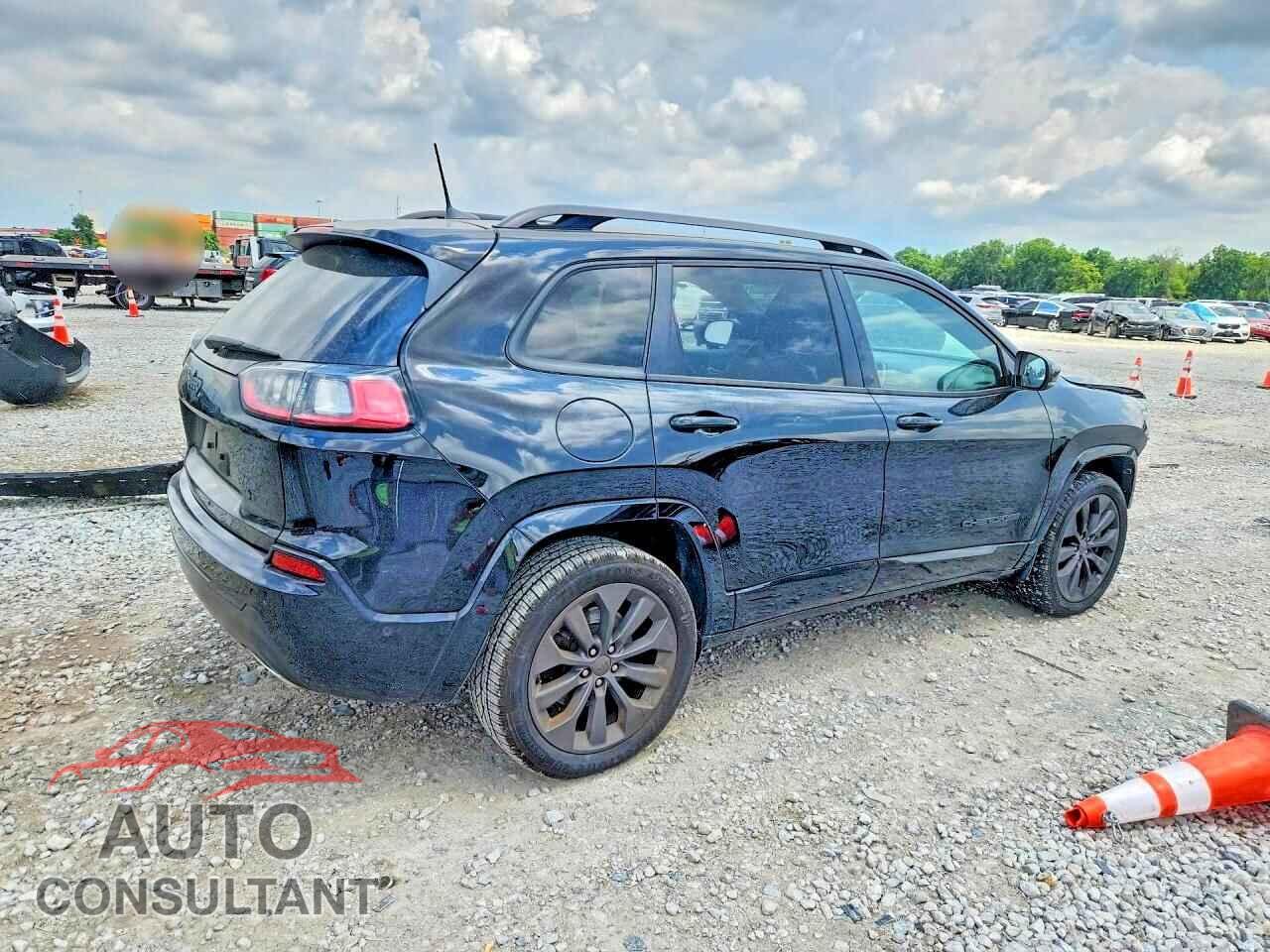 JEEP CHEROKEE 2019 - 1C4PJLDX1KD381485
