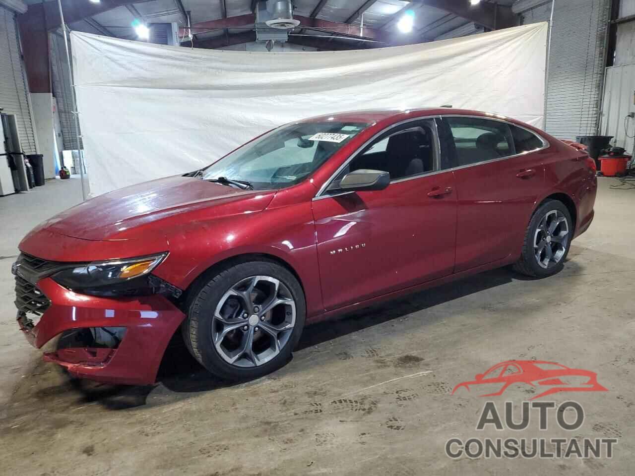 CHEVROLET MALIBU 2019 - 1G1ZG5ST5KF195531