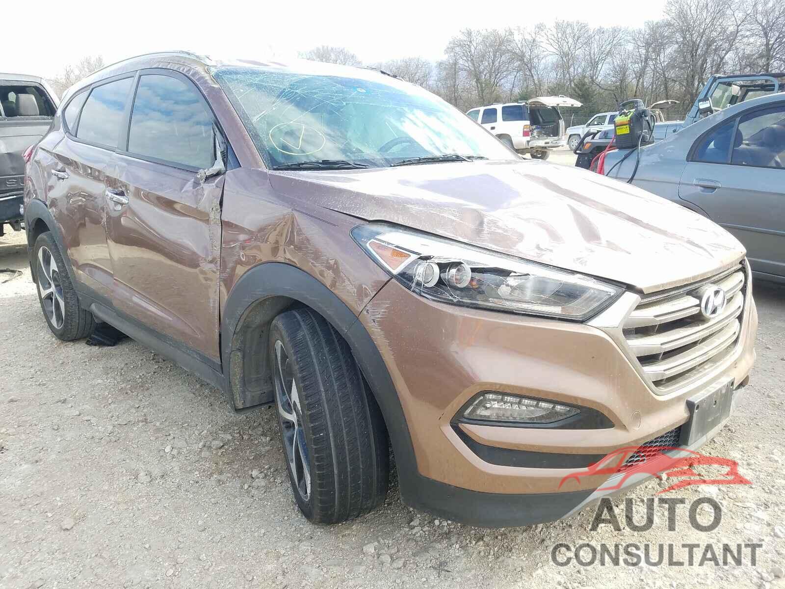 HYUNDAI TUCSON 2016 - KM8J33A25GU249020