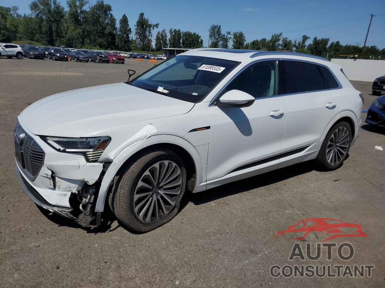AUDI E-TRON 2019 - WA1VABGE1KB021182
