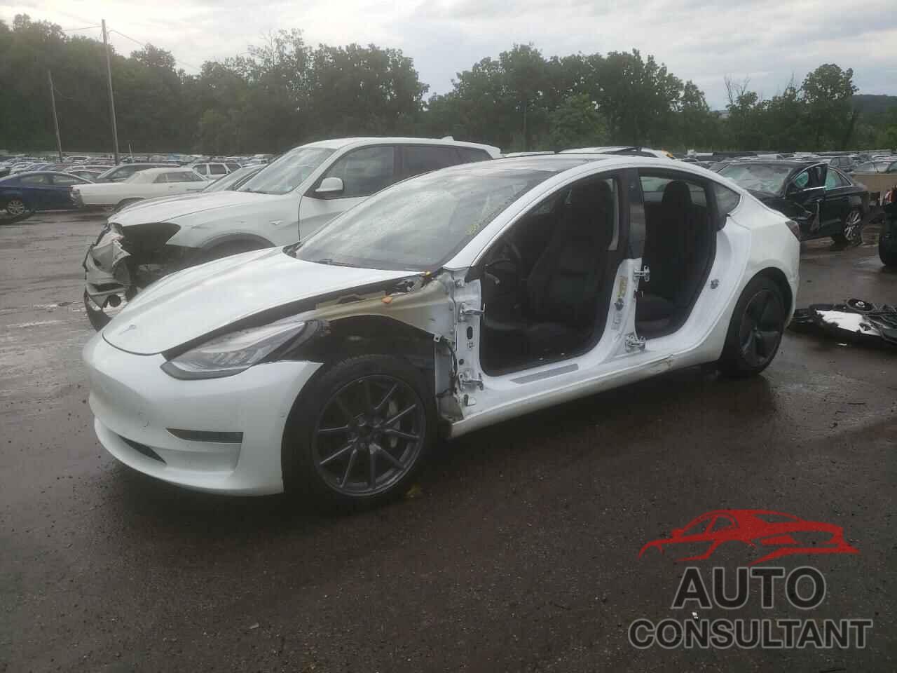 TESLA MODEL 3 2019 - 5YJ3E1EB3KF433511