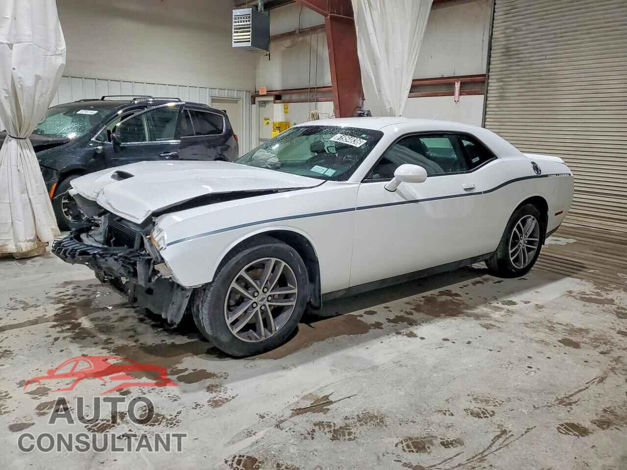 DODGE CHALLENGER 2019 - 2C3CDZKG2KH547029