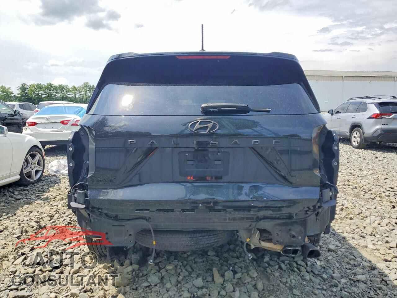 HYUNDAI PALISADE 2020 - KM8R24HE9LU050896