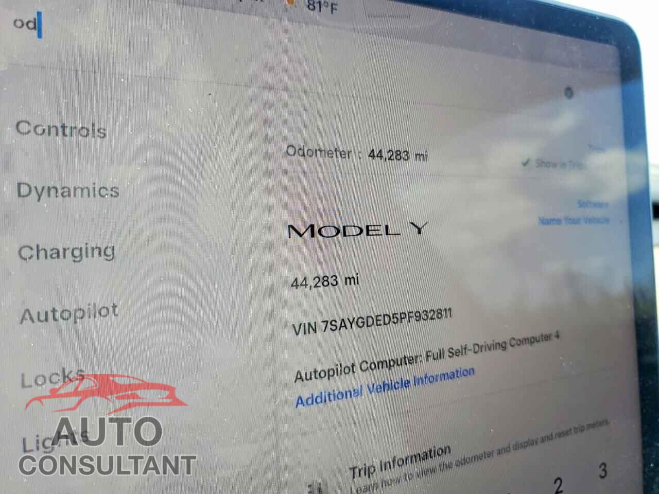TESLA MODEL Y 2023 - 7SAYGDED5PF932811