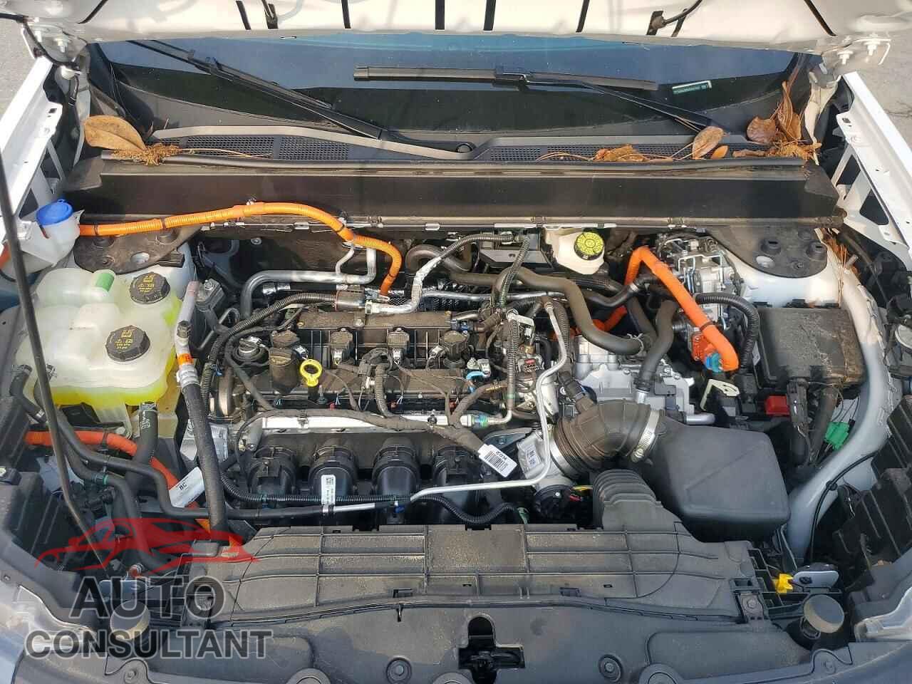 FORD MAVERICK 2025 - 3FTTW8A38SRB26192