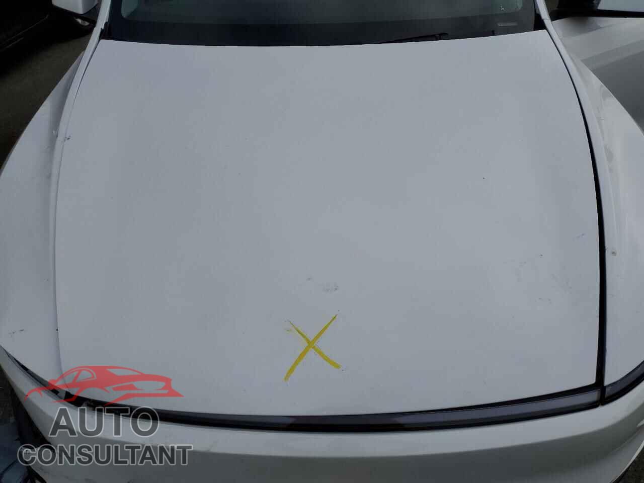 TESLA MODEL Y 2026 - 7SAYGDEE3TF331237