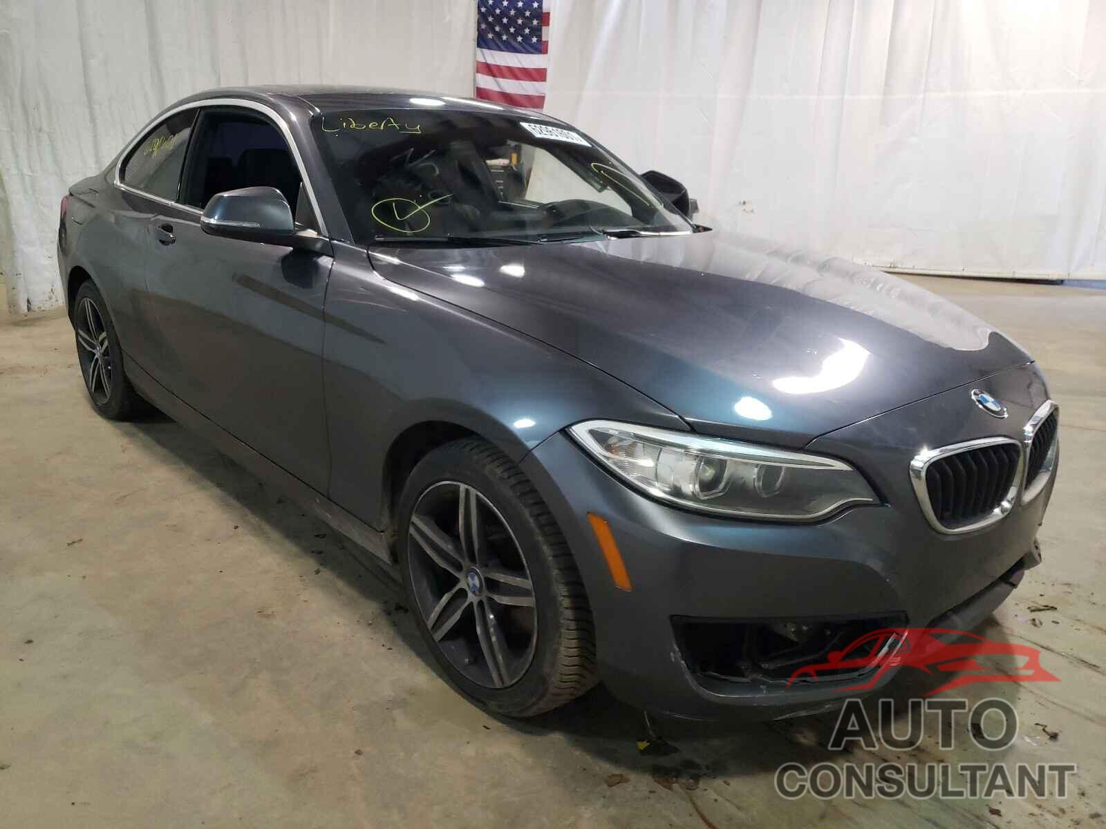 BMW 2 SERIES 2017 - WBA2F9C37HV635892