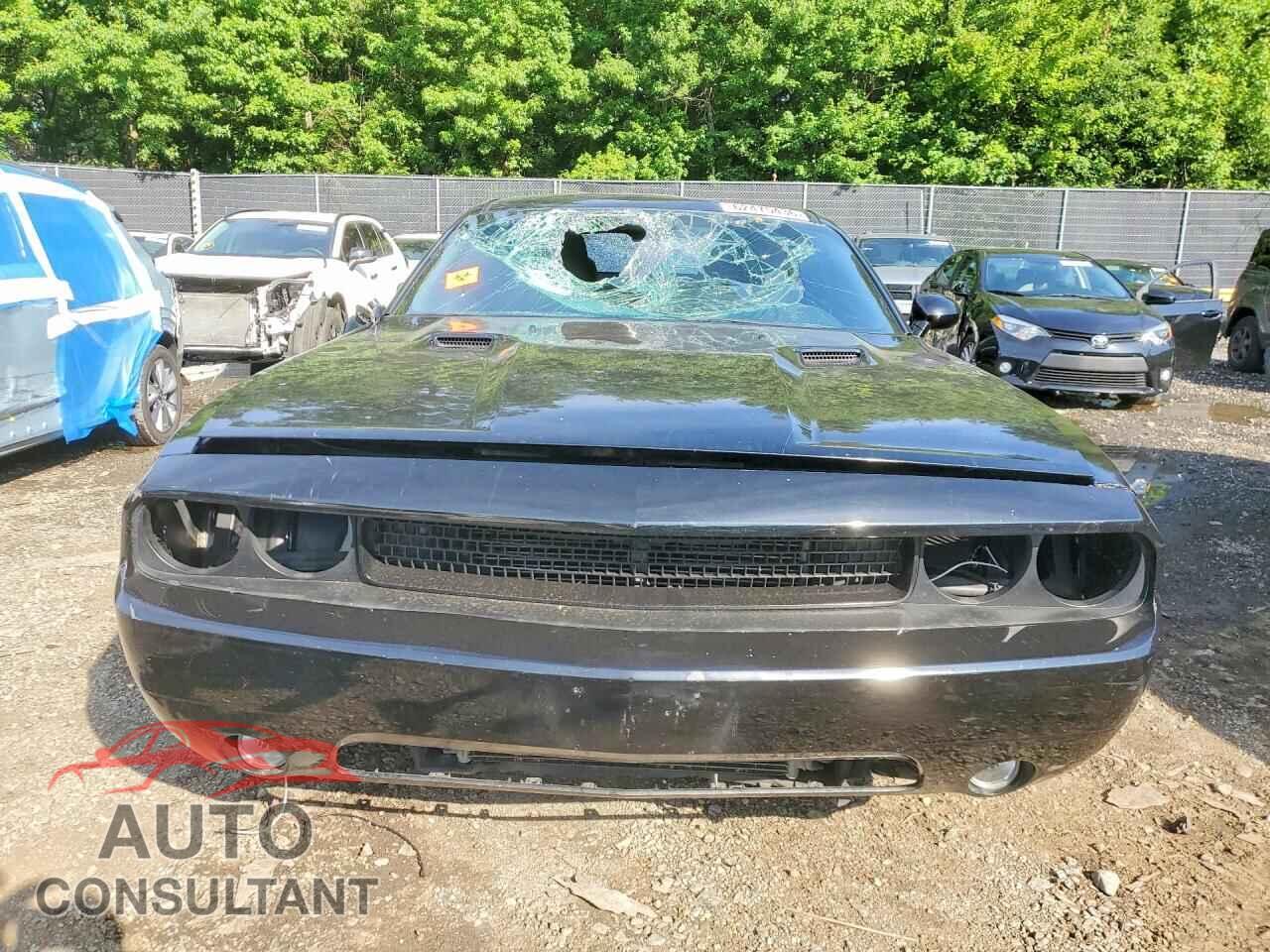 DODGE CHALLENGER 2012 - 2C3CDYAG3CH206543