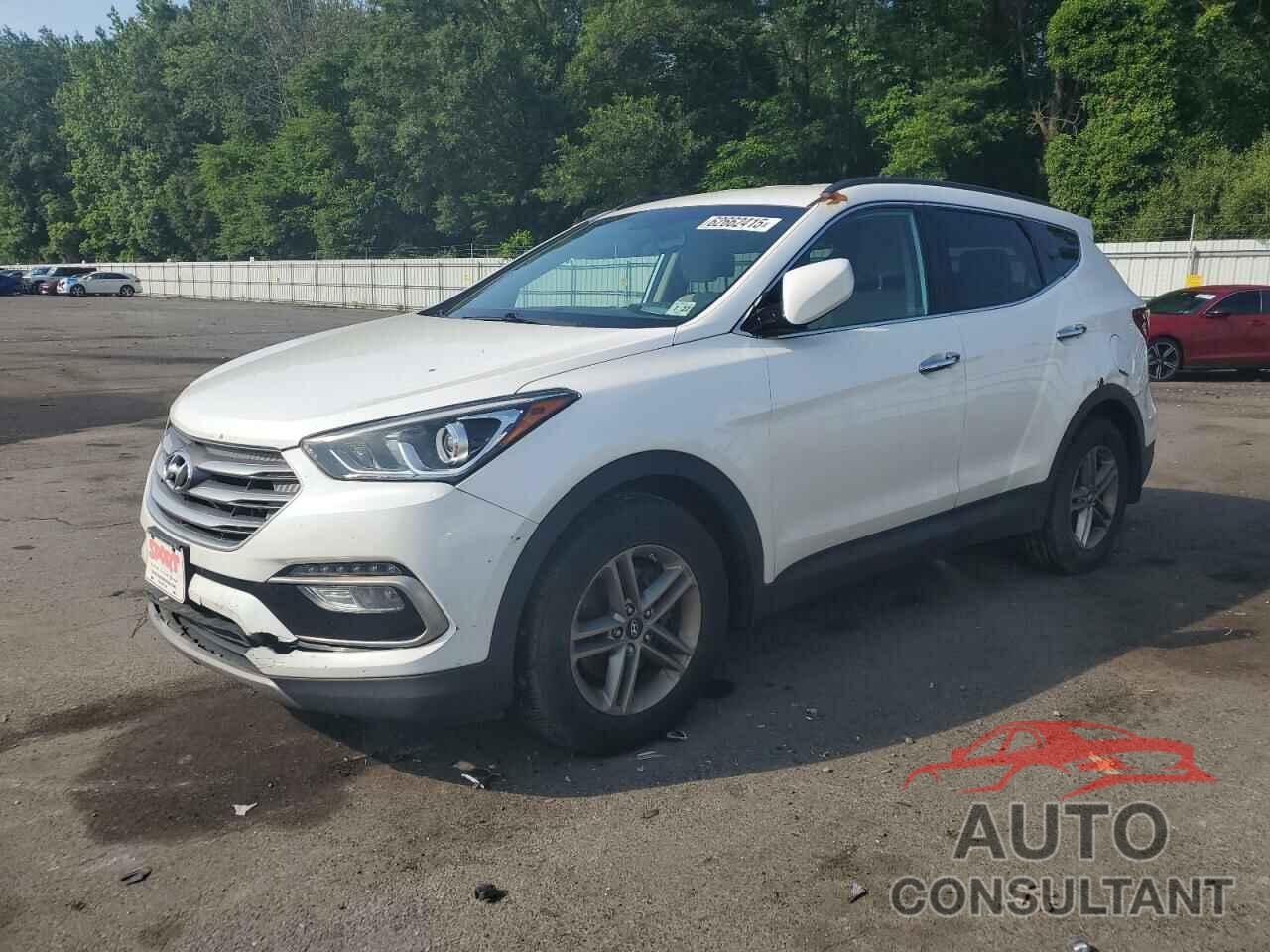 HYUNDAI SANTA FE 2017 - 5NMZUDLB8HH009797