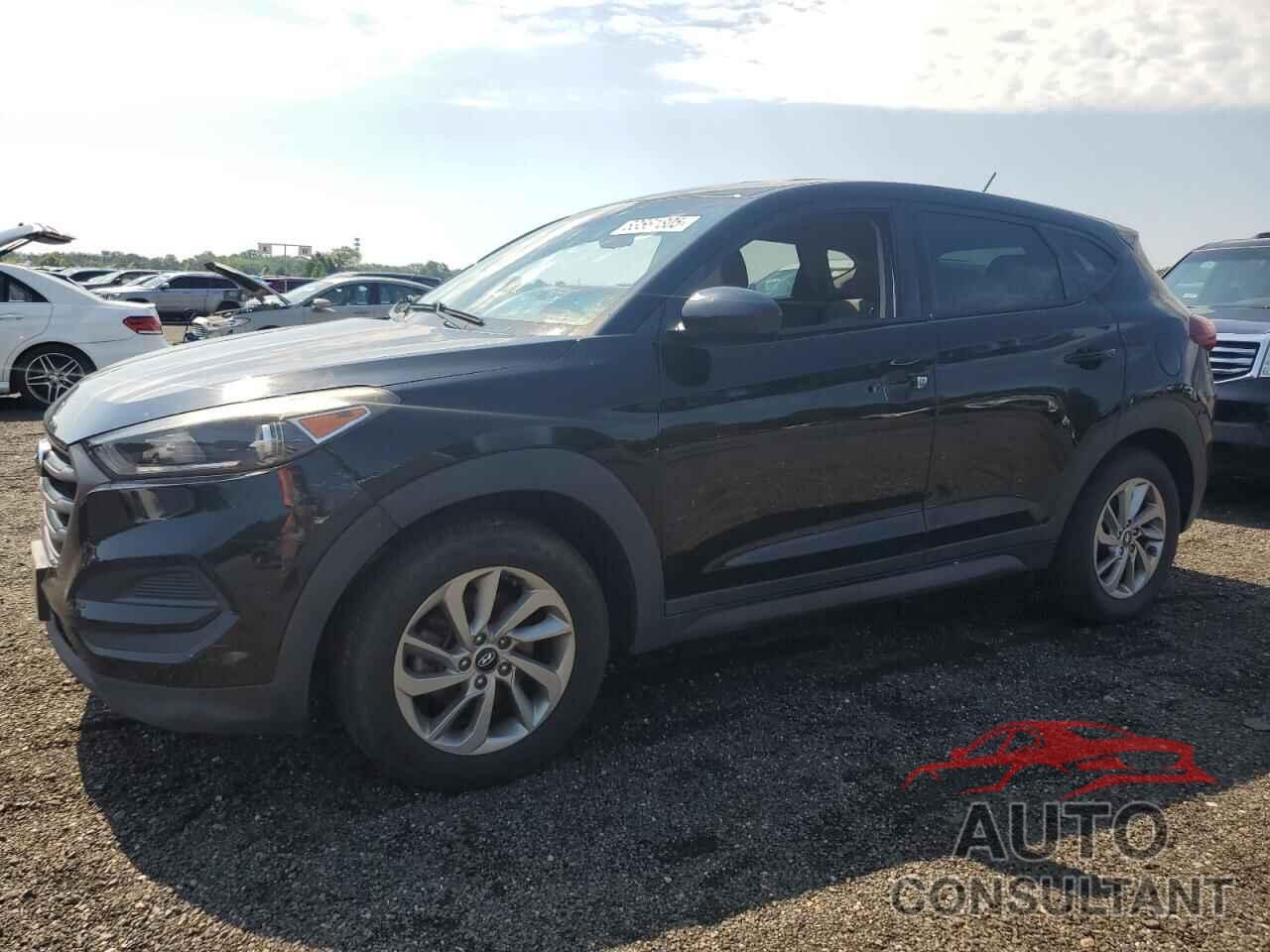 HYUNDAI TUCSON 2016 - KM8J23A43GU228090