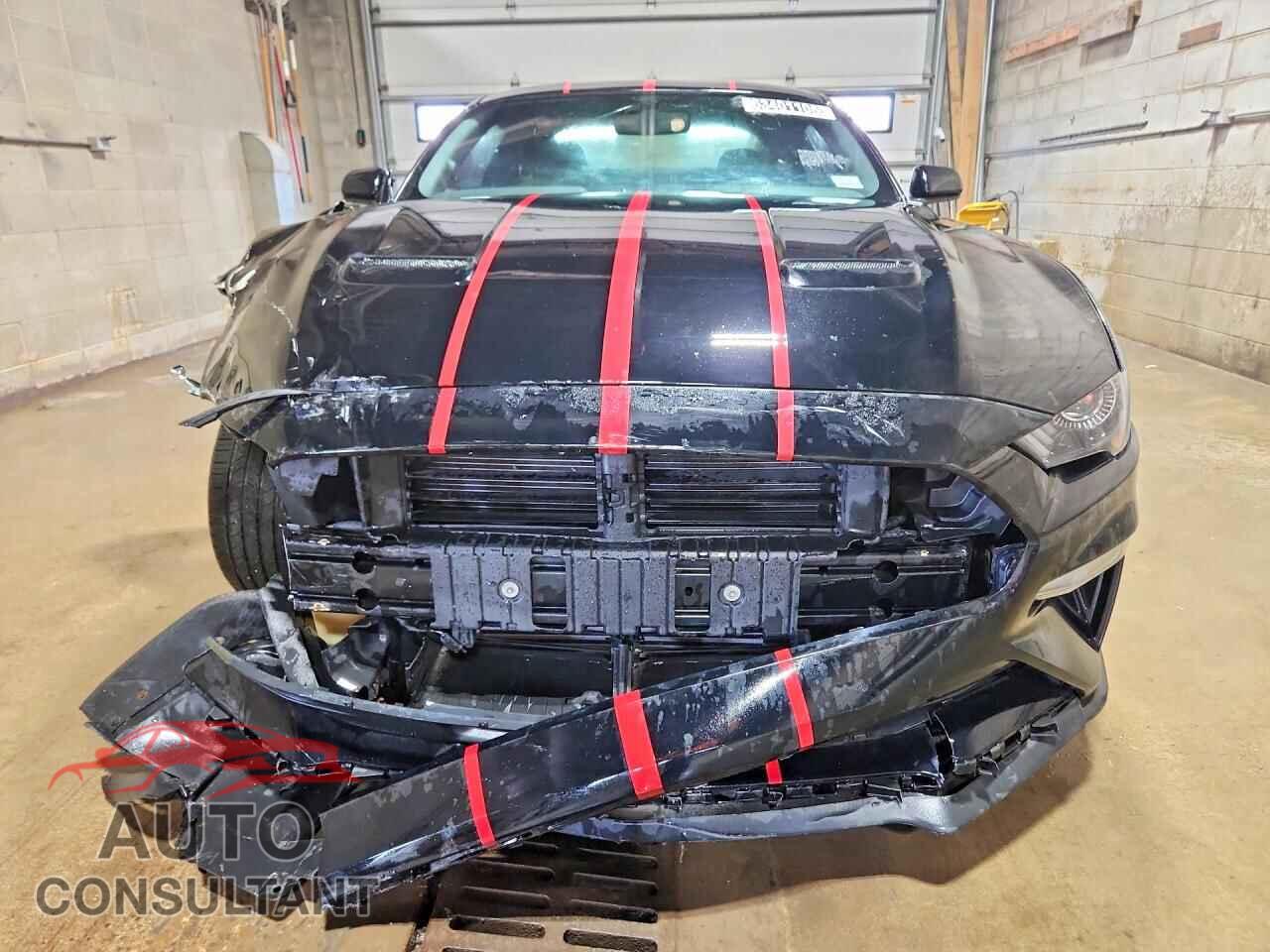 FORD MUSTANG 2019 - 1FA6P8TH3K5116262