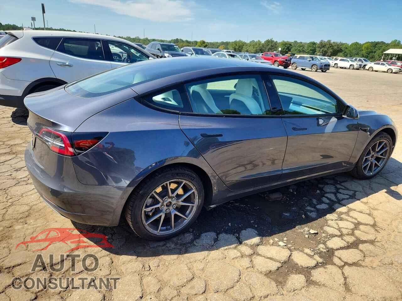 TESLA MODEL 3 2021 - 5YJ3E1EA2MF081564