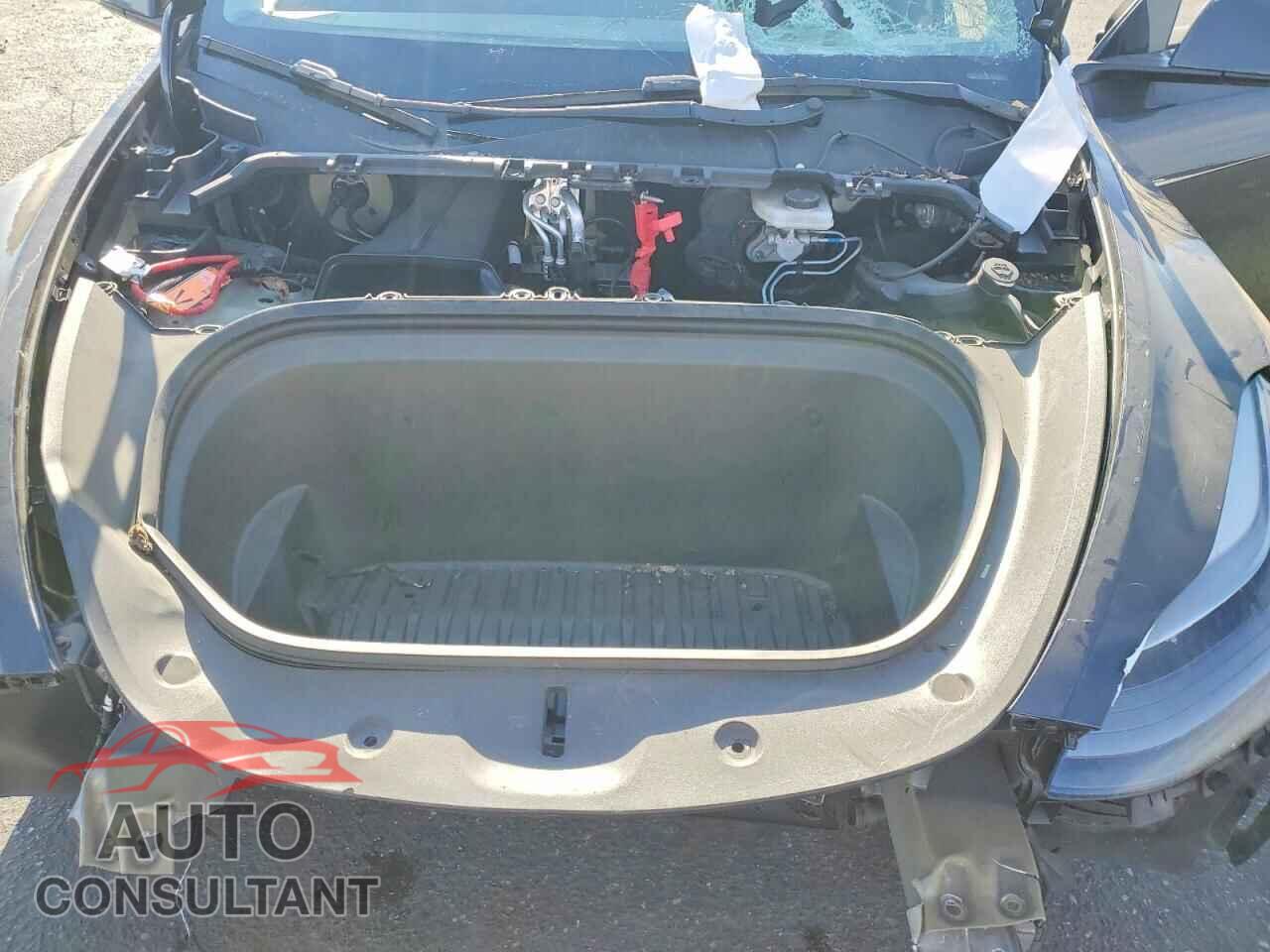 TESLA MODEL Y 2024 - 7SAYGDEE3RF031884