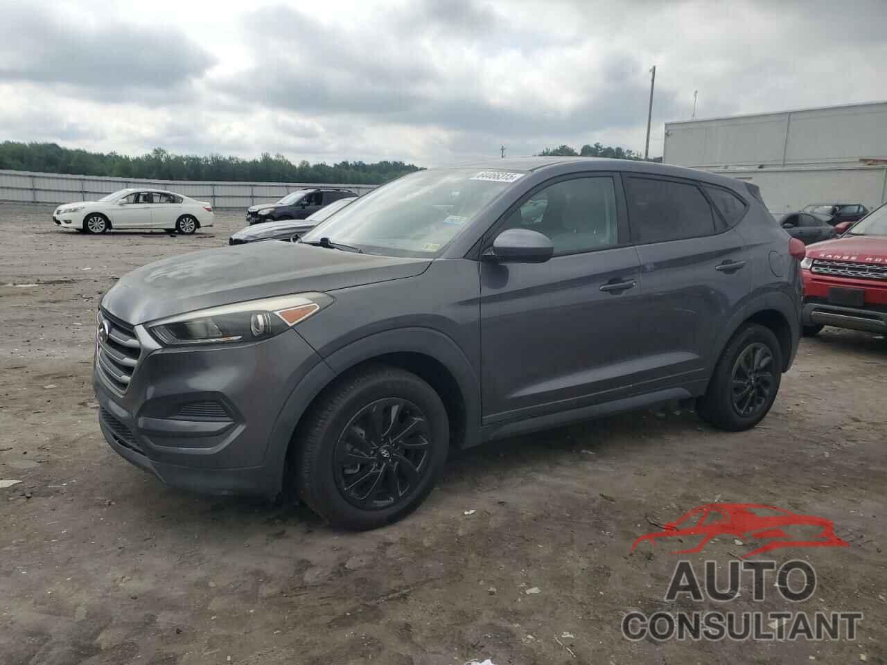 HYUNDAI TUCSON 2018 - KM8J2CA48JU656566