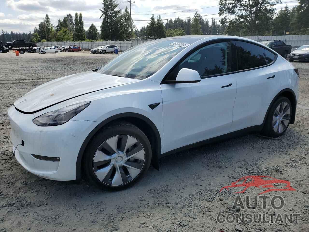 TESLA MODEL Y 2023 - 7SAYGDEE0PF620033