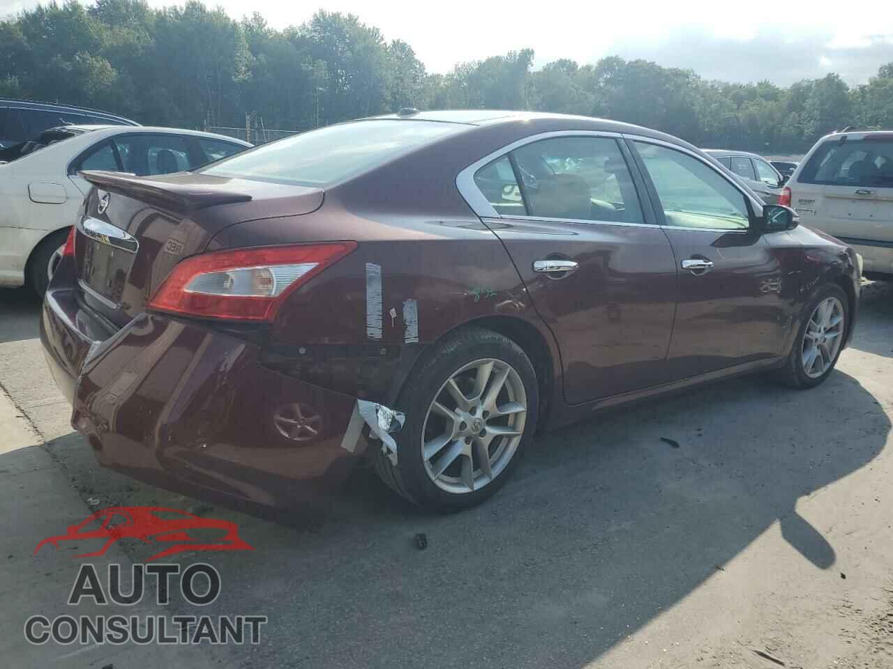 NISSAN MAXIMA 2009 - 1N4AA51E39C830742