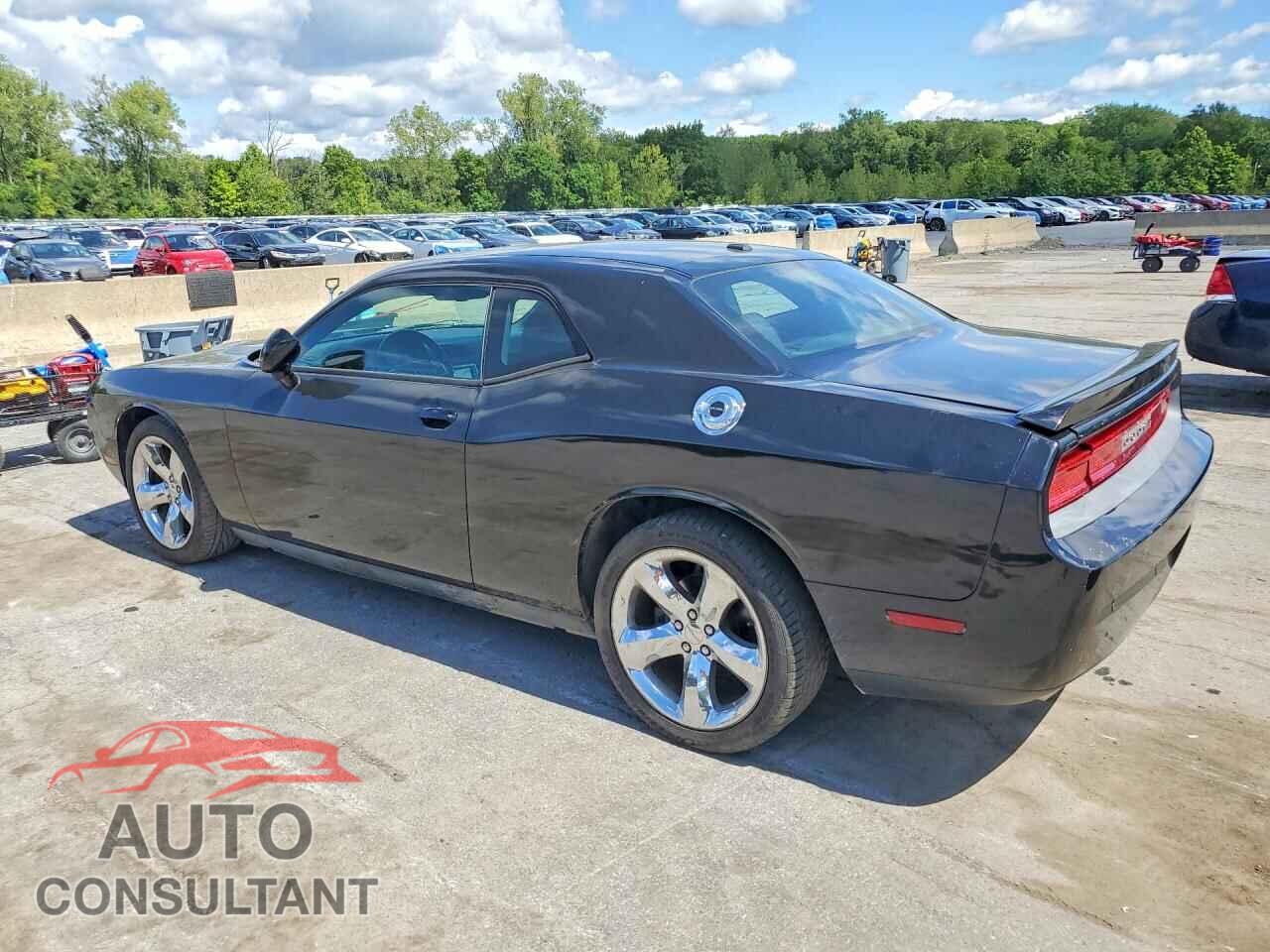 DODGE CHALLENGER 2013 - 2C3CDYAG0DH573918