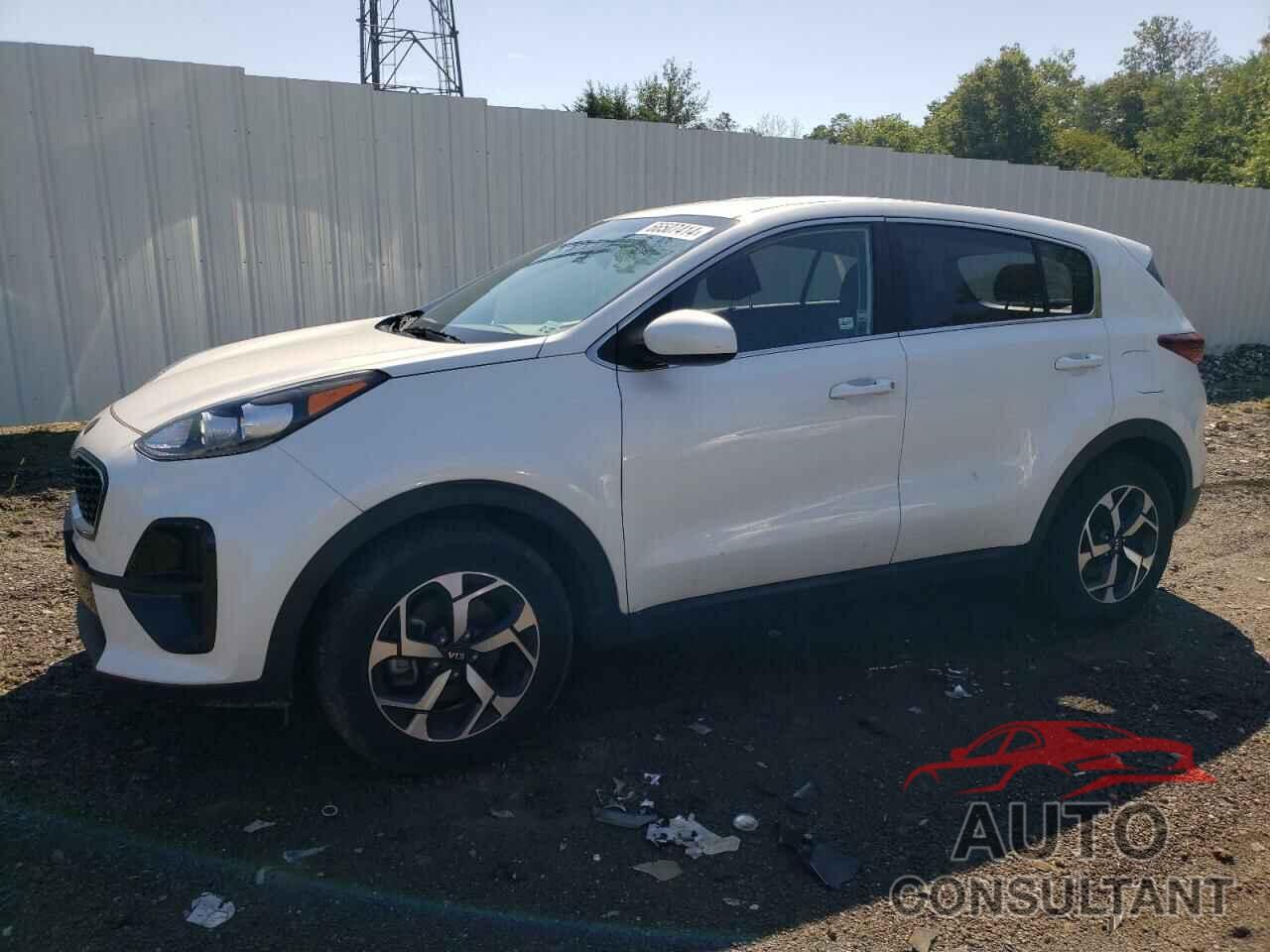 KIA SPORTAGE 2022 - KNDPM3AC7N7025375