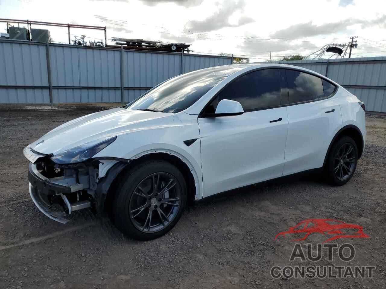 TESLA MODEL Y 2025 - 7SAYGDED3SF320227