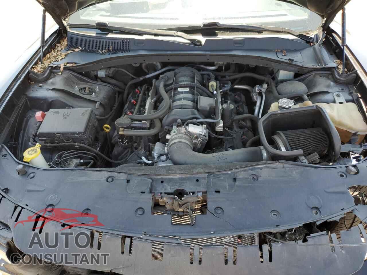 DODGE CHARGER 2019 - 2C3CDXCTXKH598083