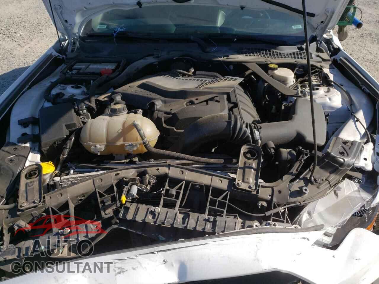 FORD ALL Models 2019 - 1FATP8UH5K5126261