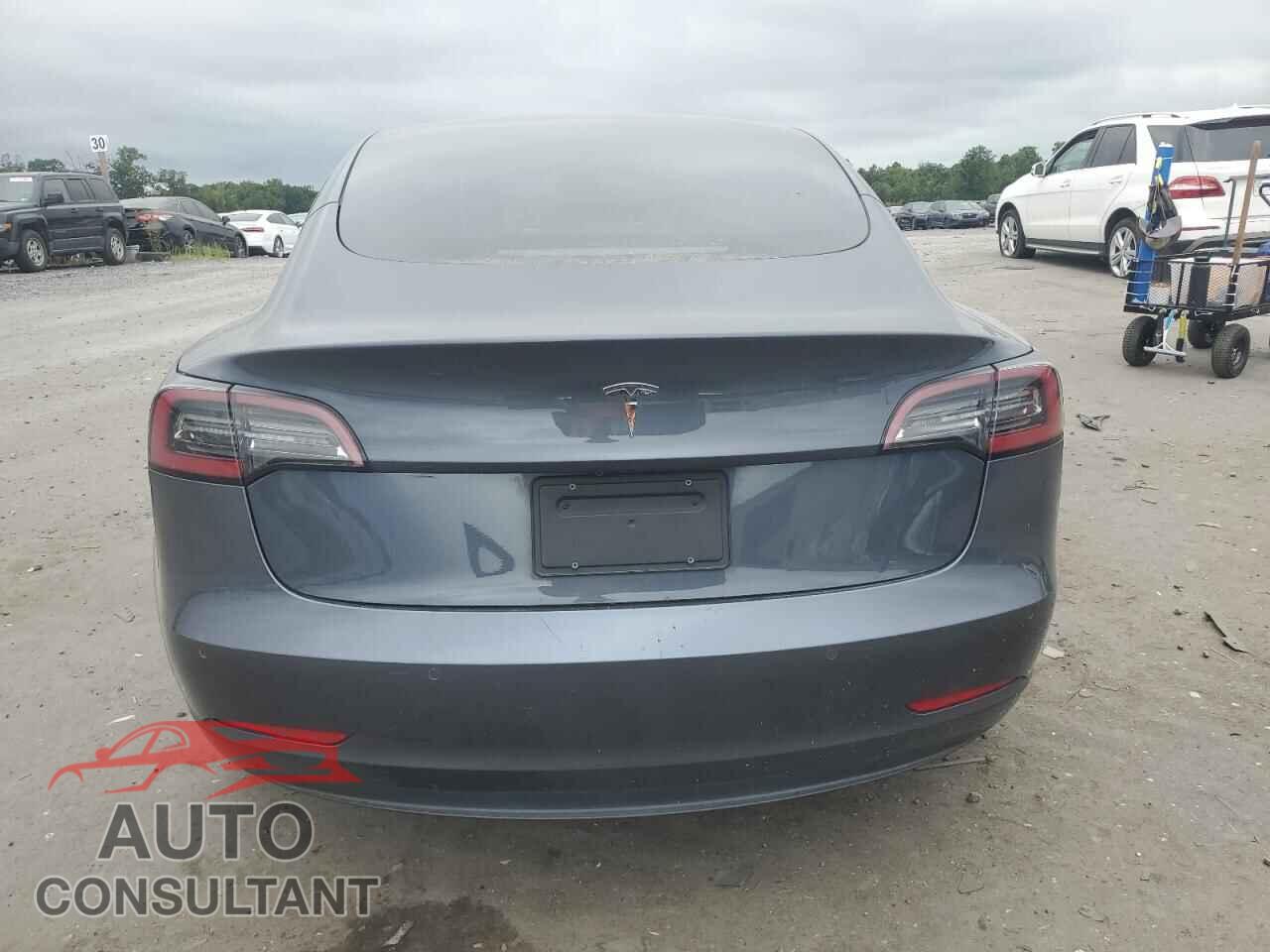 TESLA MODEL 3 2021 - 5YJ3E1EA7MF031310