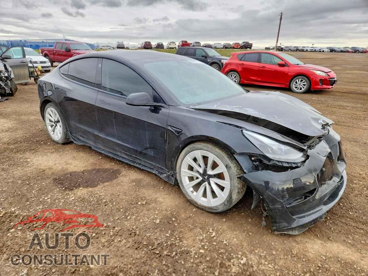 TESLA MODEL 3 2021 - 5YJ3E1EB7MF916616