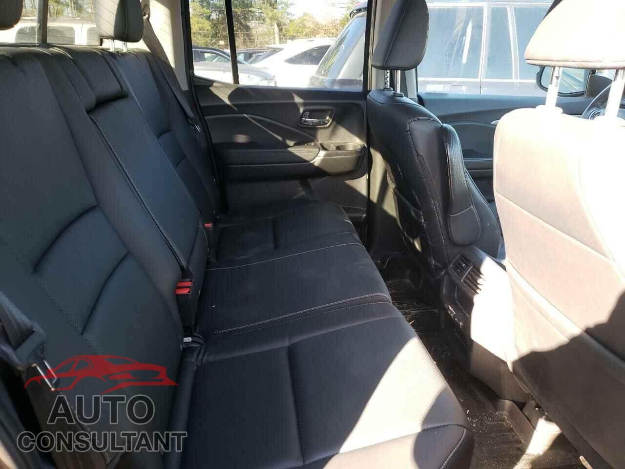 HONDA RIDGELINE 2019 - 5FPYK3F55KB004963