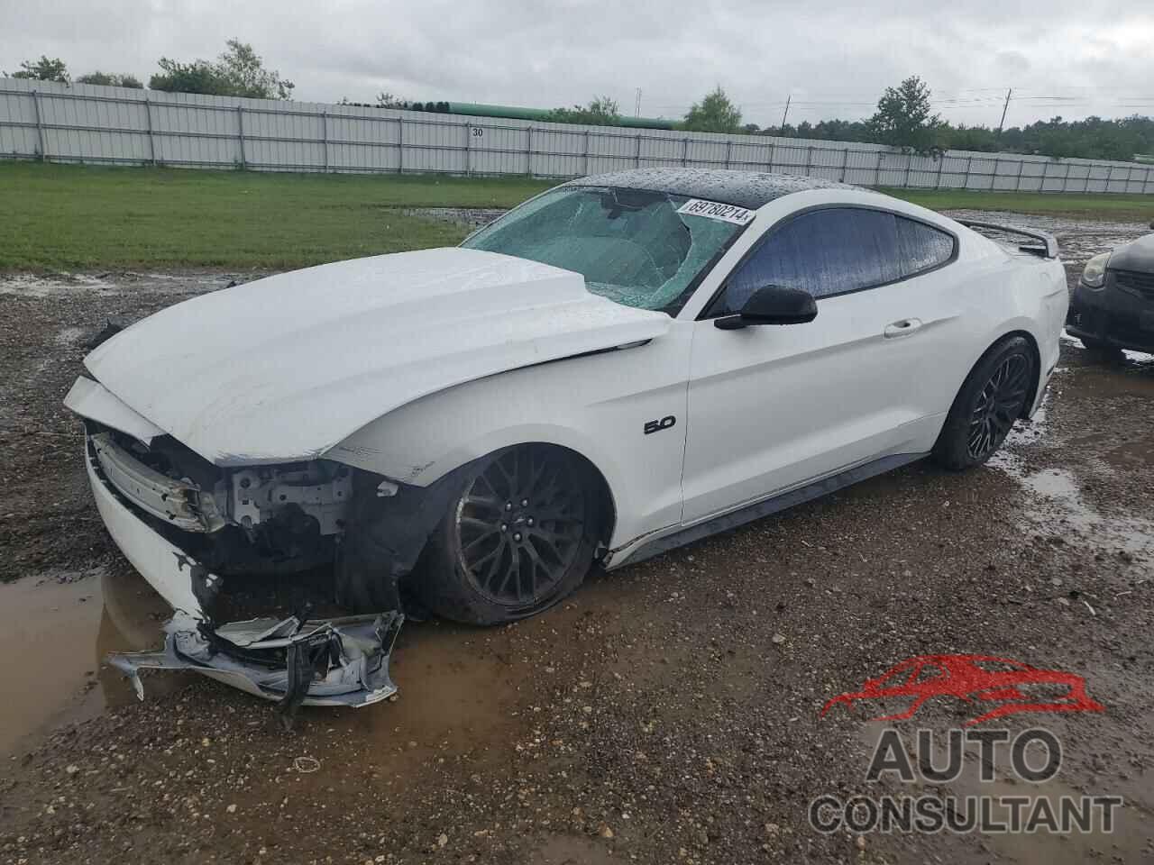 FORD MUSTANG 2019 - 1FA6P8CF4K5147745