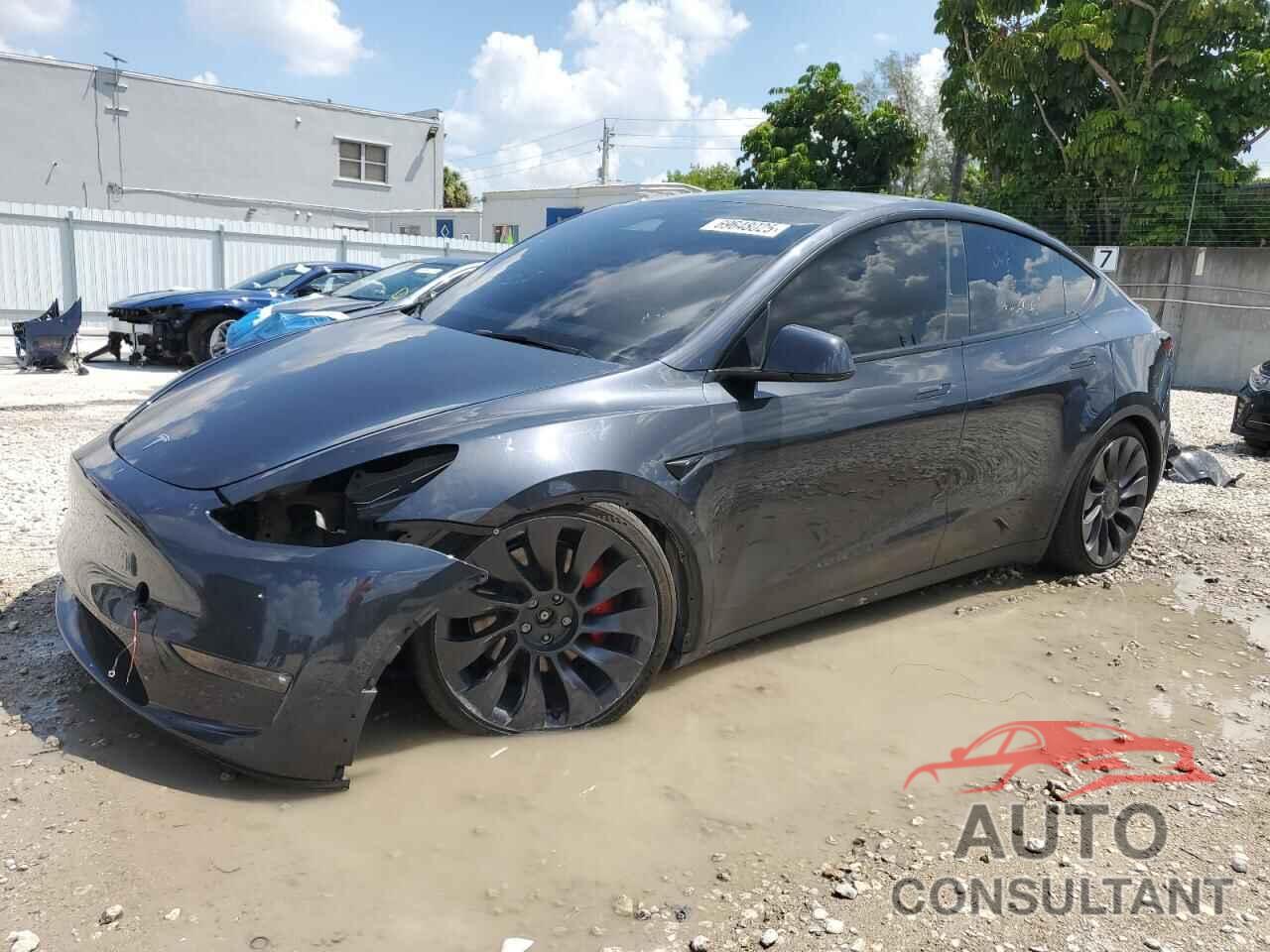 TESLA MODEL Y 2024 - 7SAYGDEF7RF048311