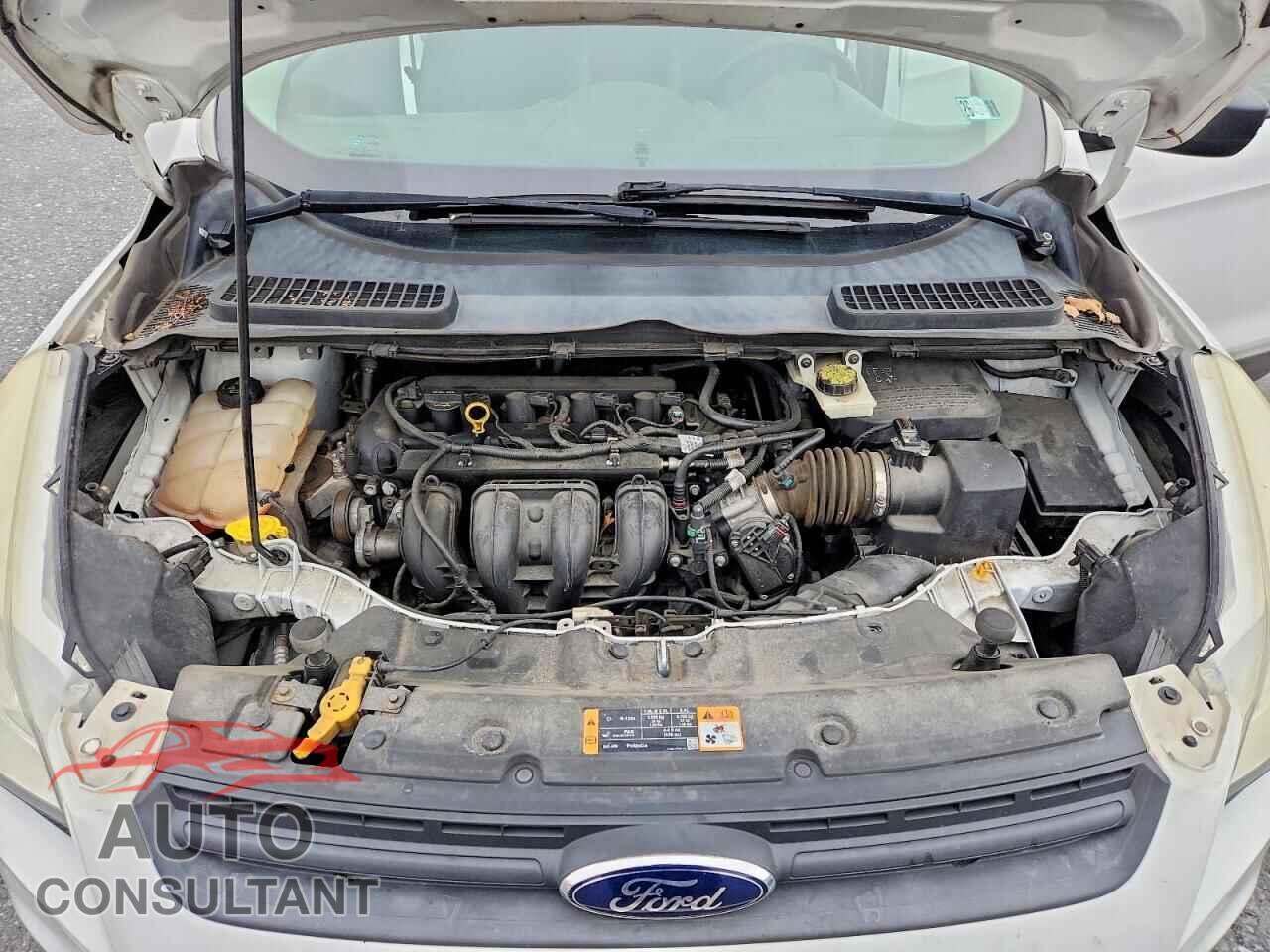 FORD ESCAPE 2014 - 1FMCU0F7XEUB54149