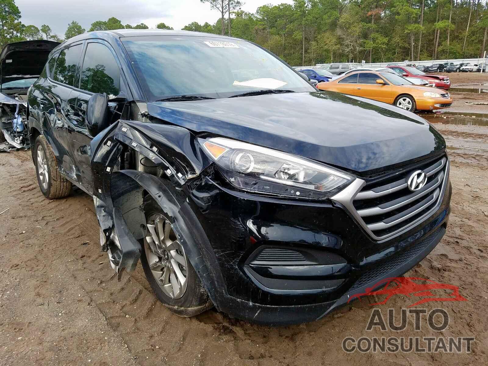 HYUNDAI TUCSON 2017 - KM8J23A47HU261336