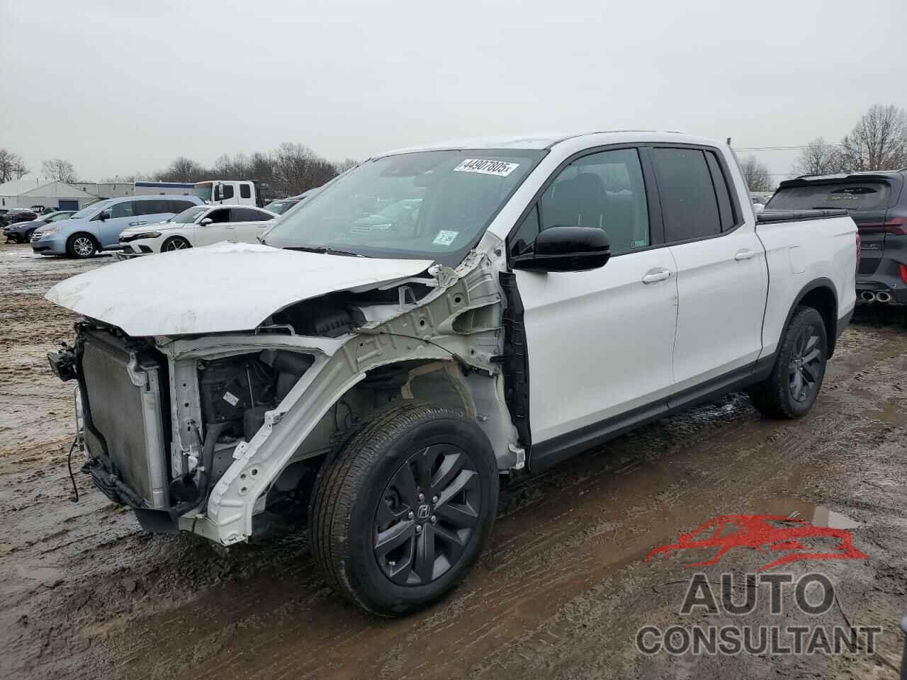 HONDA RIDGELINE 2021 - 5FPYK3F15MB018801