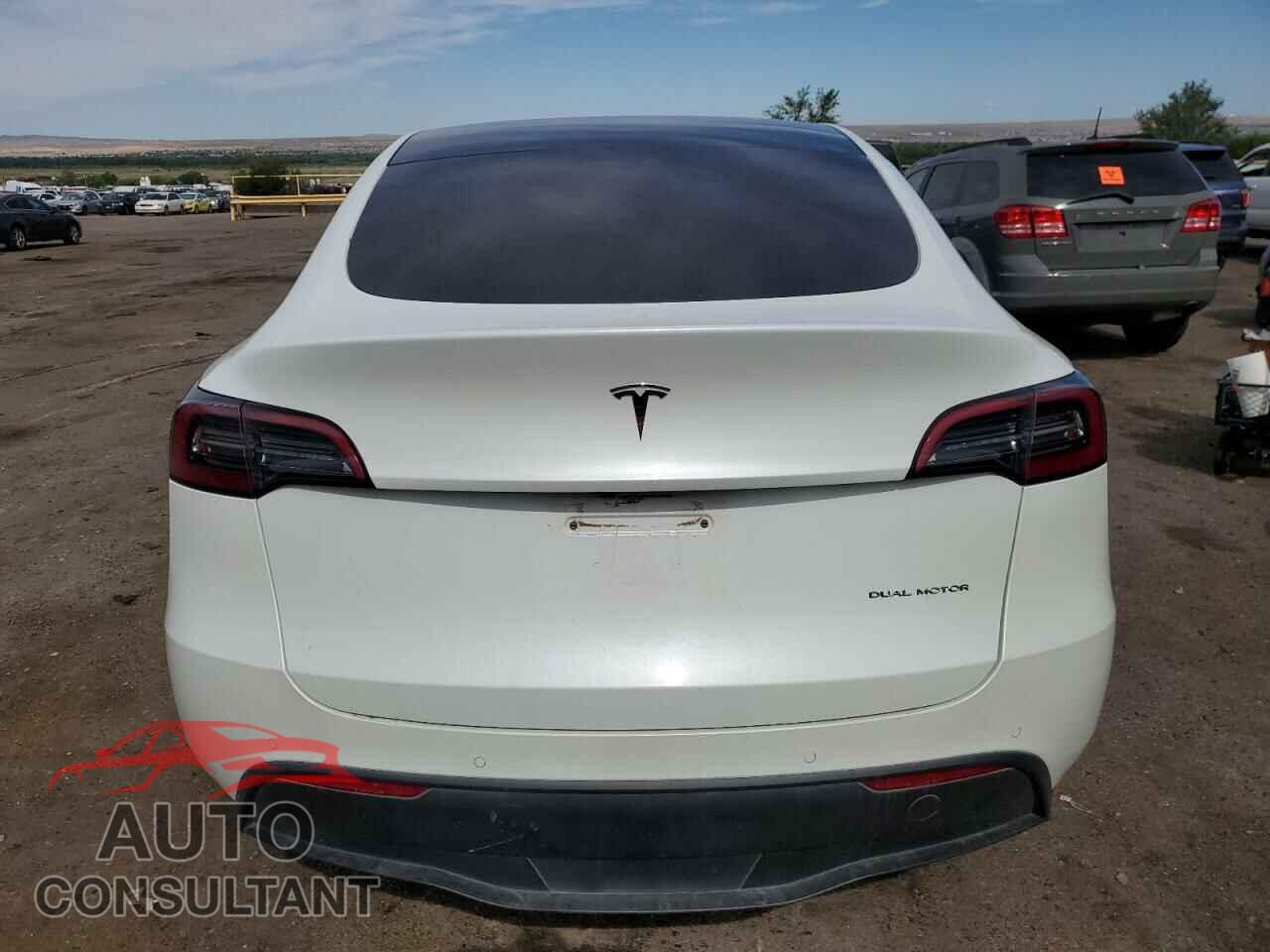 TESLA MODEL Y 2021 - 5YJYGDEE0MF265020