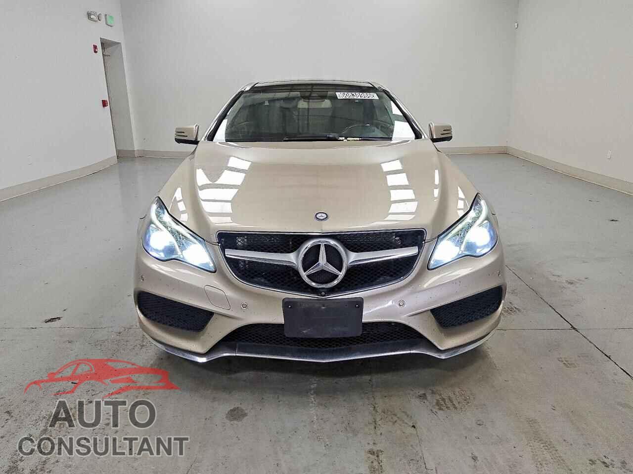 MERCEDES-BENZ E-CLASS 2014 - WDDKJ7DB8EF263793