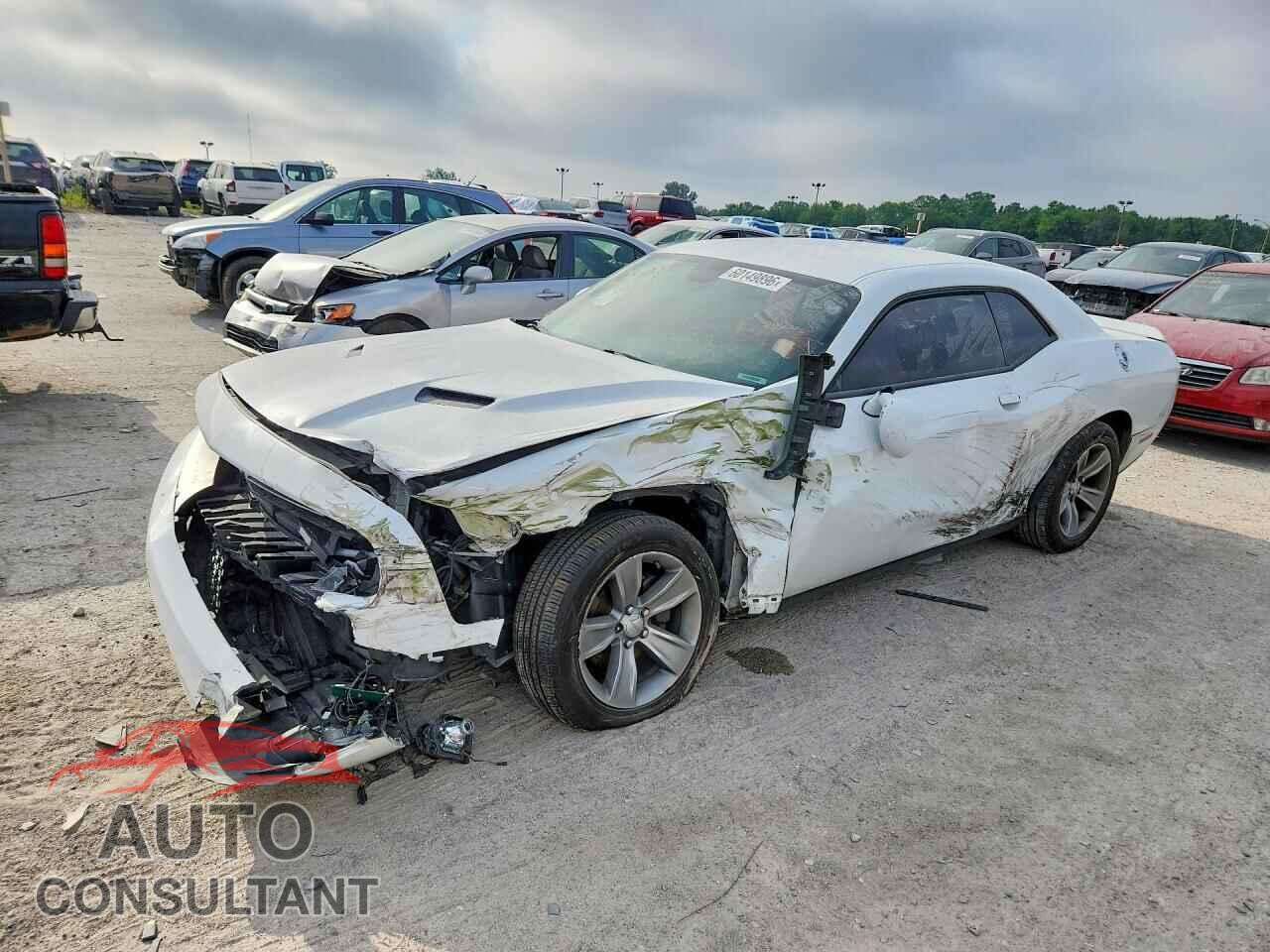 DODGE CHALLENGER 2019 - 2C3CDZAG7KH677373