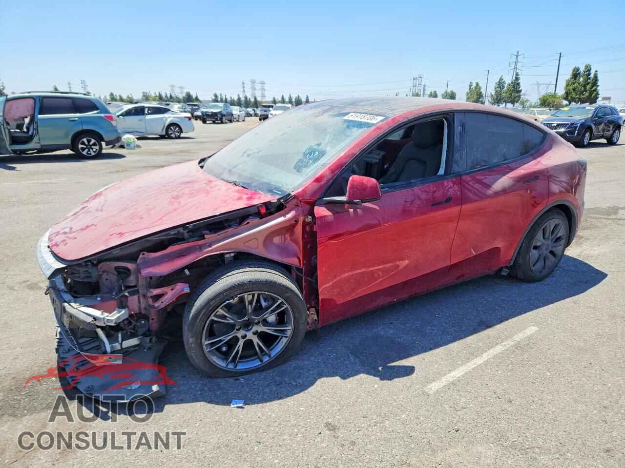 TESLA MODEL Y 2024 - 7SAYGDEDXRF193356