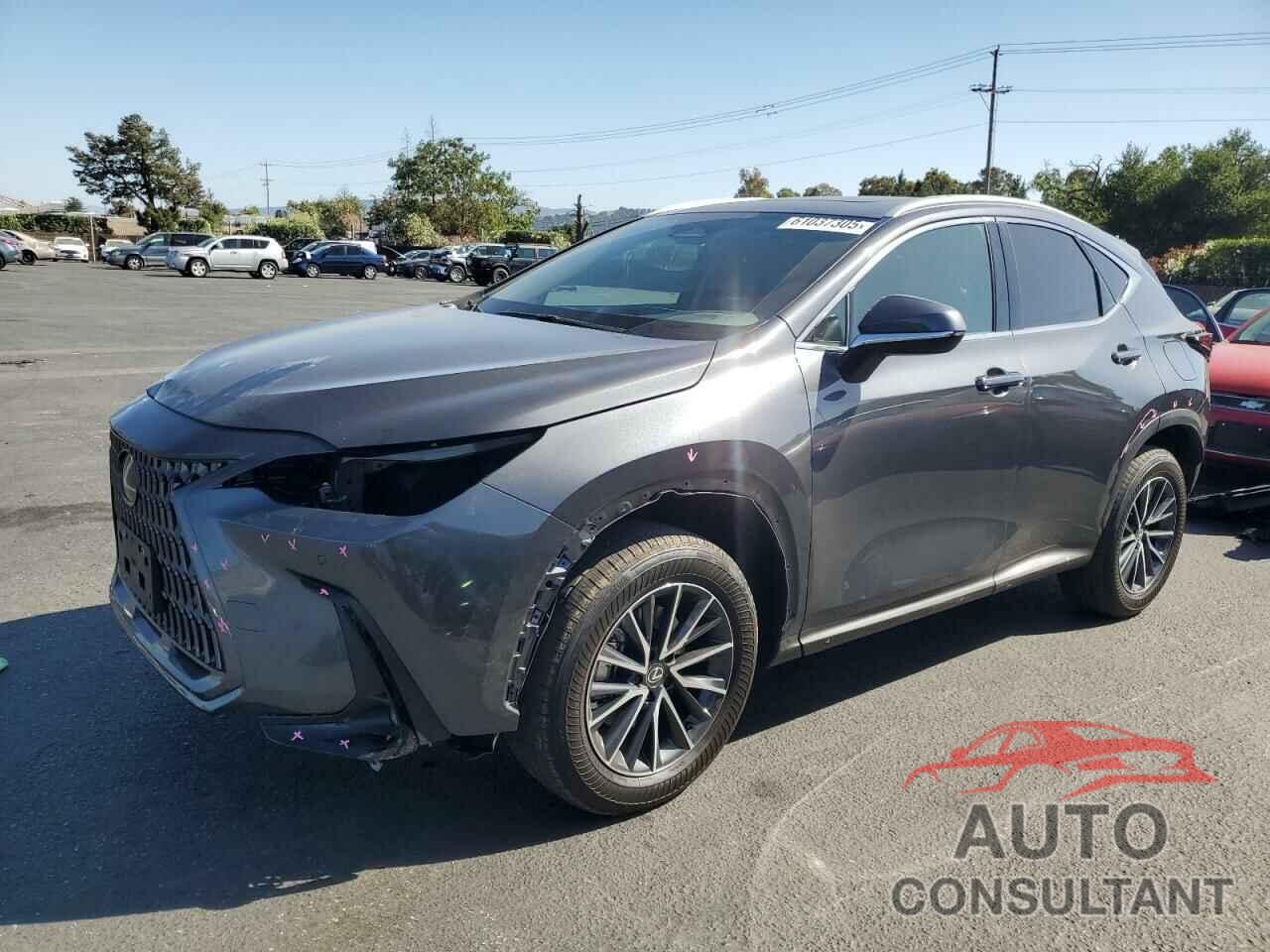 LEXUS NX 350H BA 2025 - 2T2GKCEZ8SC048335