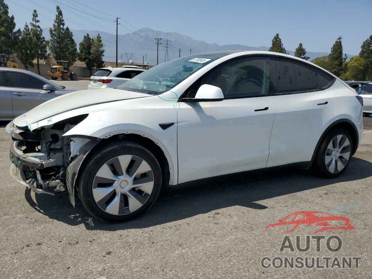 TESLA MODEL Y 2021 - 5YJYGDEE4MF160562