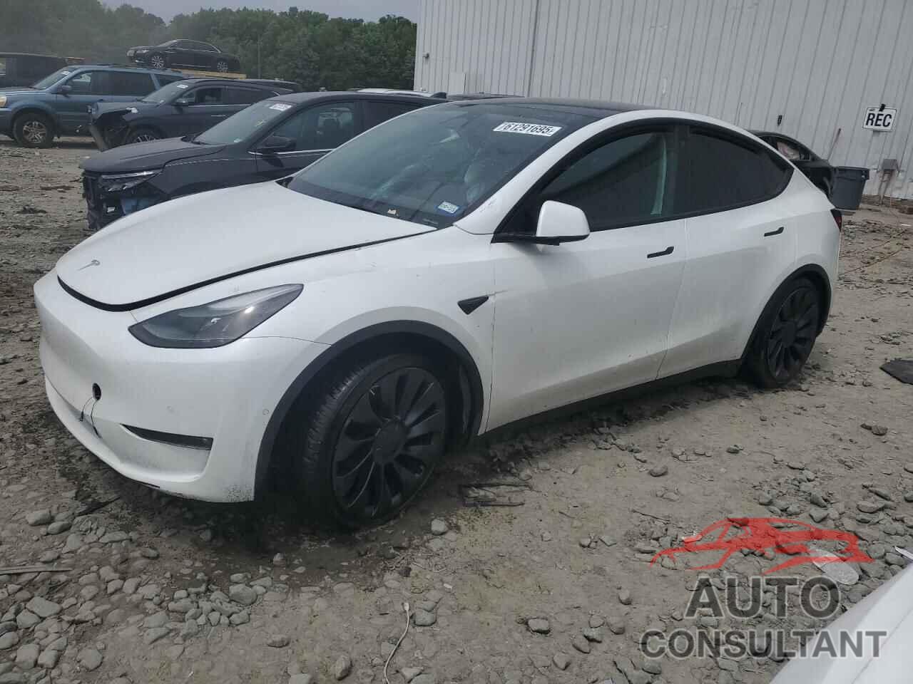 TESLA MODEL Y 2022 - 7SAYGDEF8NF544650