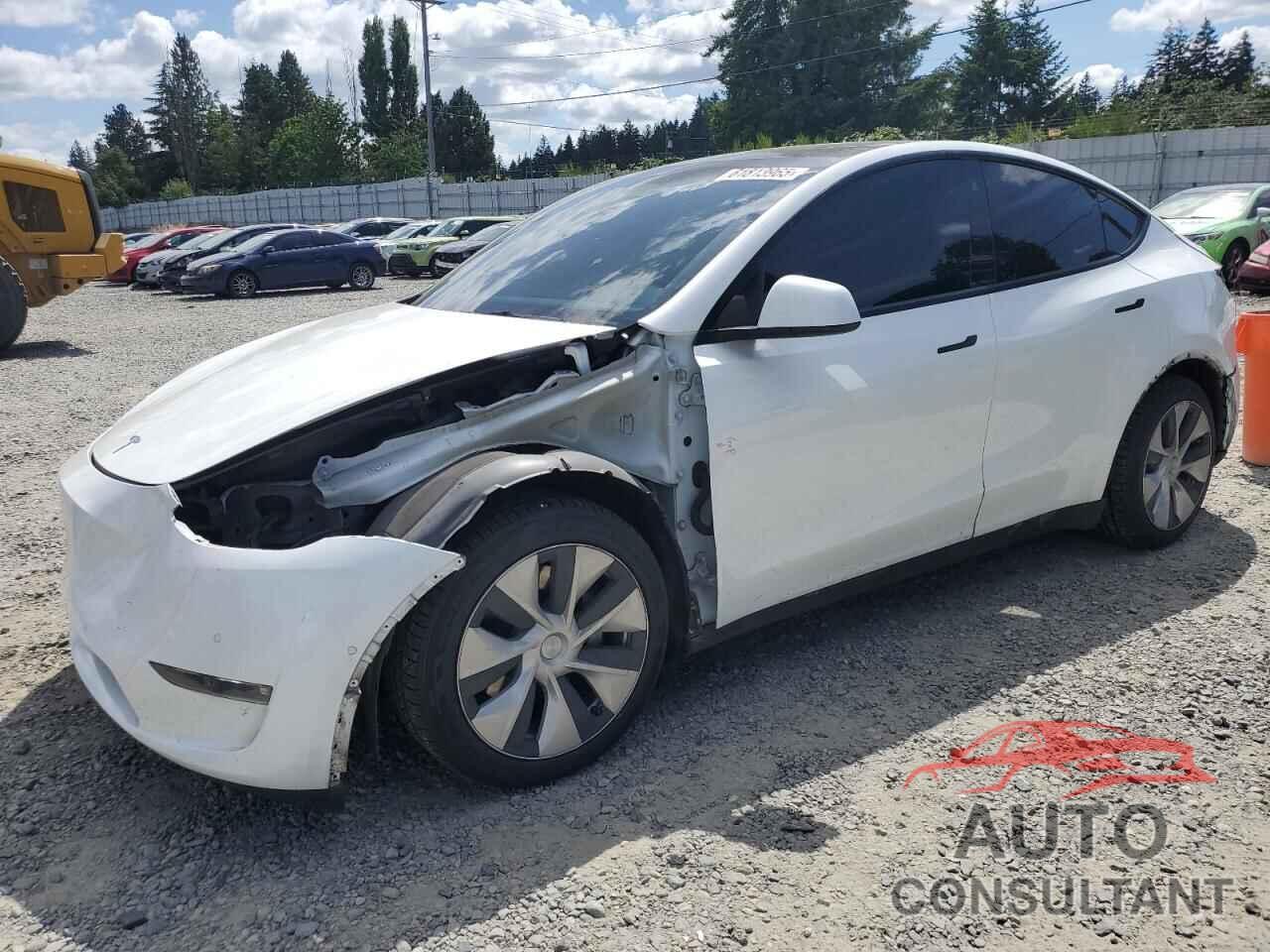 TESLA MODEL Y 2021 - 5YJYGAEE4MF145011
