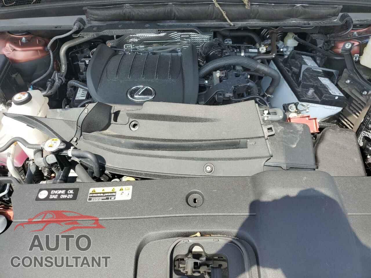 LEXUS RX350 2024 - 2T2BAMCA3RC057390