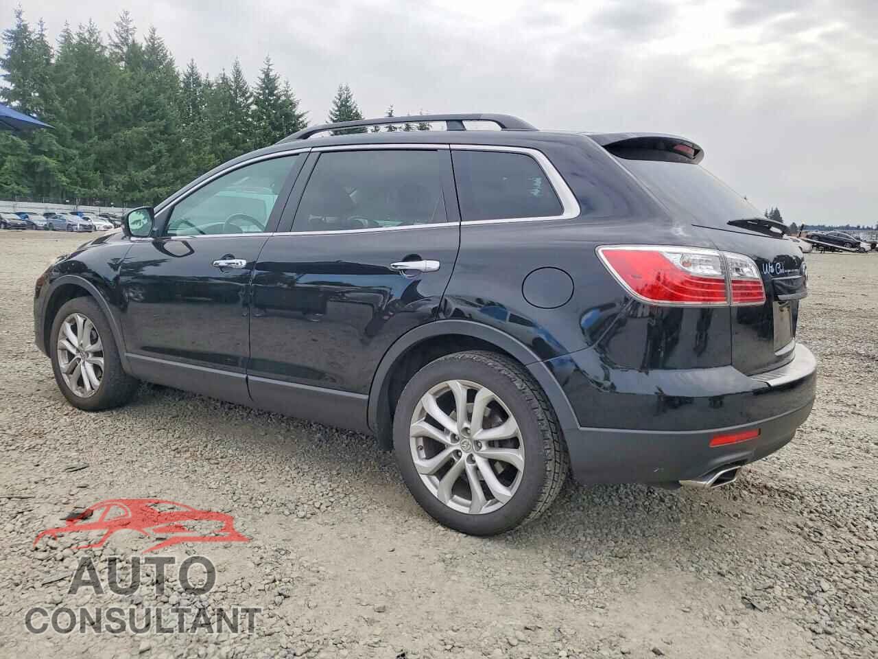 MAZDA CX-9 2011 - JM3TB2DVXB0316833