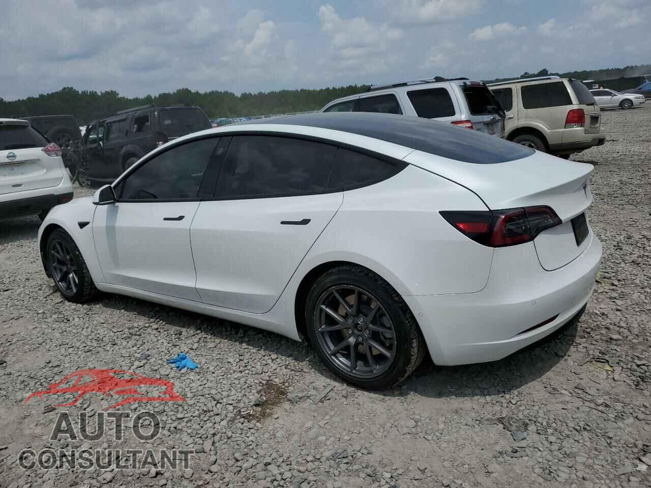 TESLA MODEL 3 2021 - 5YJ3E1EA7MF029086