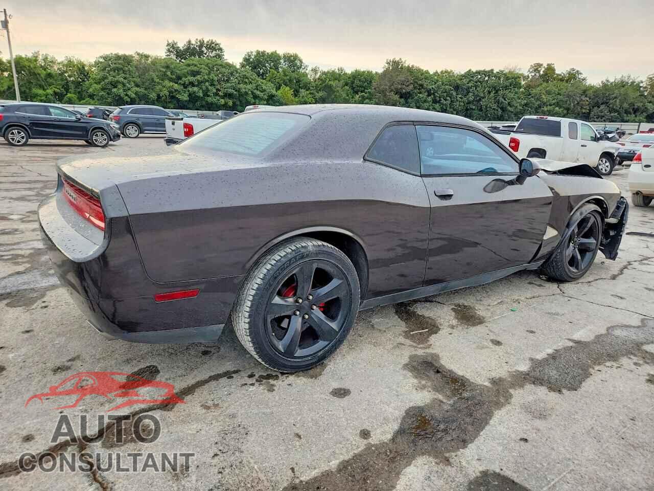 DODGE CHALLENGER 2013 - 2C3CDYAG9DH665979