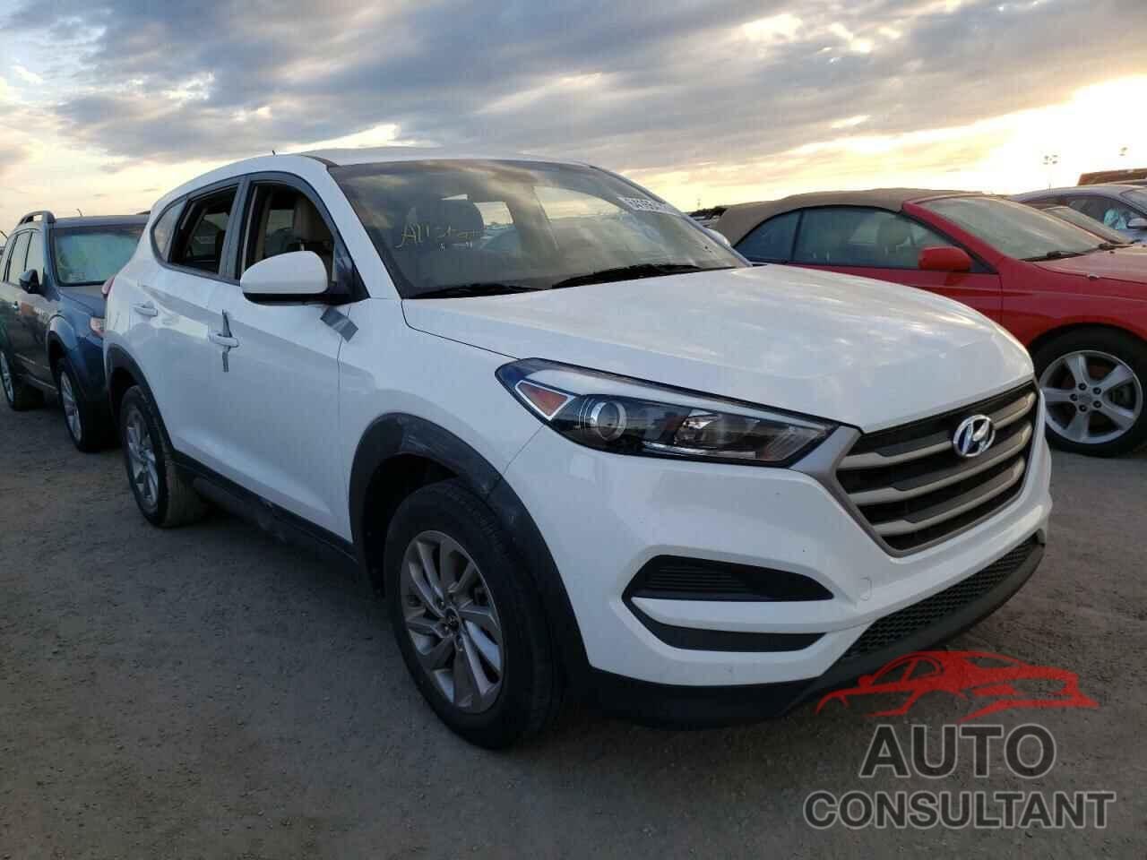 HYUNDAI TUCSON 2018 - KM8J23A41JU824516
