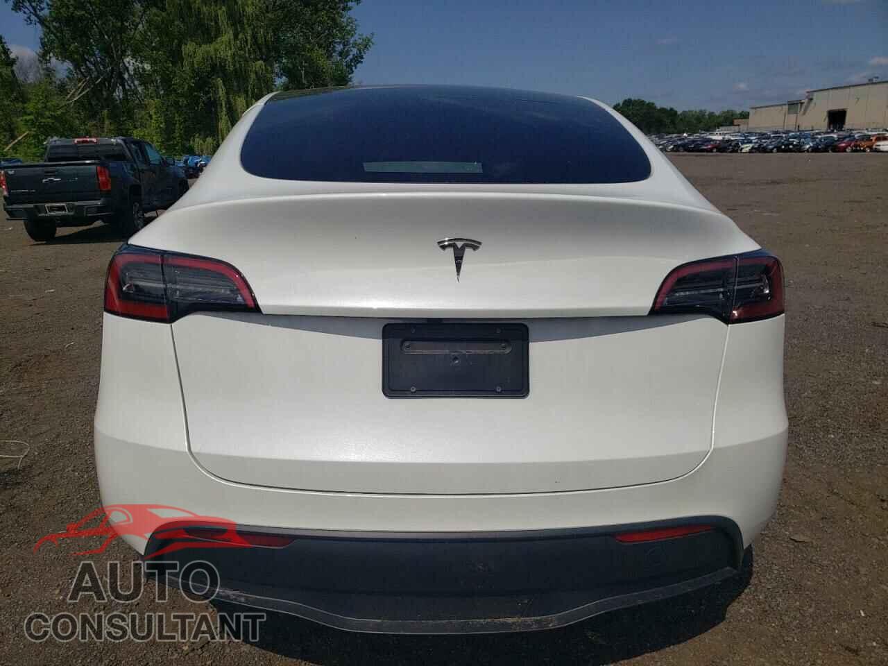 TESLA MODEL Y 2024 - 7SAYGDED9RF133701