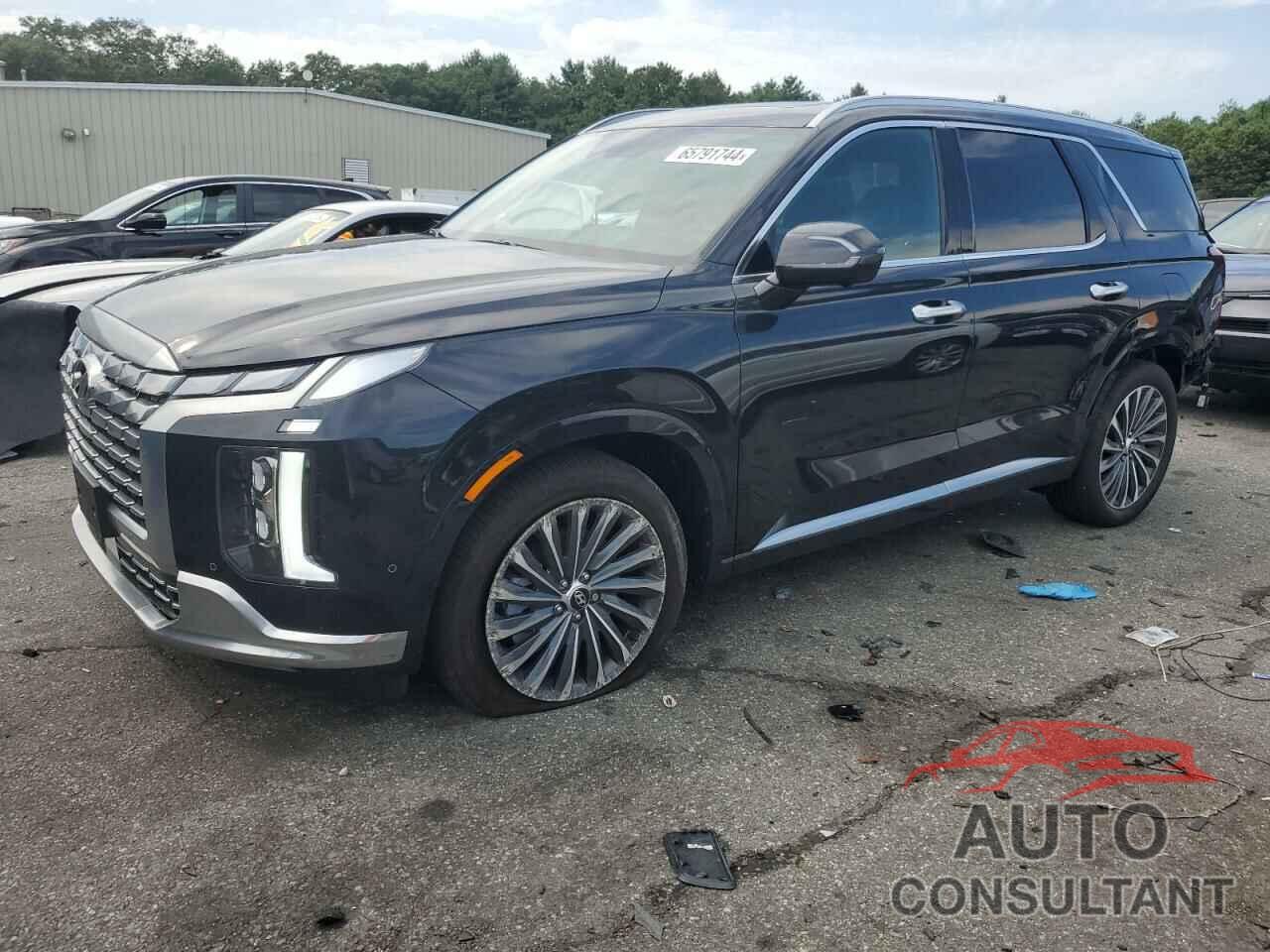 HYUNDAI PALISADE 2024 - KM8R7DGE1RU699250